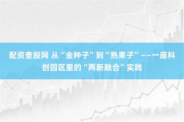 配资查股网 从“金种子”到“熟果子”——一座科创园区里的“两新融合”实践